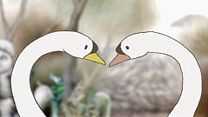 image de Le Cygne et l'enfant Bande-annonce VF