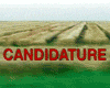 image de Candidature Bande-annonce VF