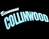 image de Bienvenue à Collinwood Bande-annonce VF