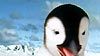 image de Happy Feet Bande-annonce VF