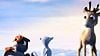 Niko, le petit renne Bande-annonce VF