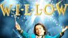 image de "Willow"