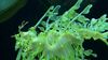 image de Voyage sous les mers 3D Extrait vidéo (4) VF