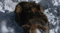 image de Freeway et nous Bande-annonce VO