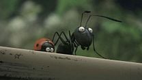 Minuscule - La vallée des fourmis perdues Bande-annonce VF
