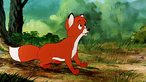 image de Les renards animés