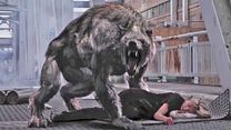 image de Battledogs Bande-annonce VO