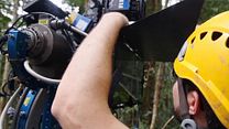 image de Nature - MAKING OF VOST "Plongeon en forêt"