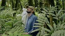 image de Ouragan - MAKING OF VF "Faune et Flore" 