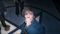 image de Les Animaux fantastiques - Featurette VF