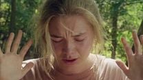 image de Midsommar Teaser VO "Director's Cut"