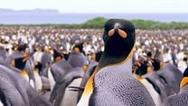 image de Adventures Of The Penguin King Bande-annonce VO