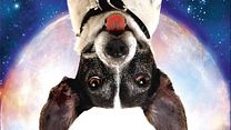 image de Un chien croc bien Bande-annonce VO