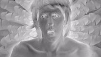 image de The Taint Bande-annonce VO