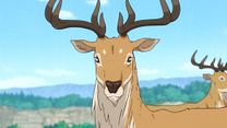 image de Le Roi cerf Bande-annonce (2) VO