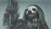 image de La Mascotte Bande-annonce (2) VO