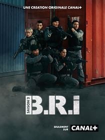 poster de la série B.R.I.