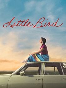 poster de la série Little Bird