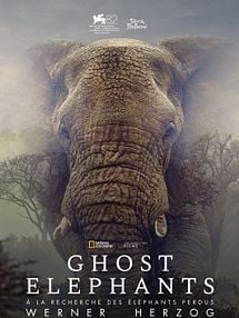 image de Ghost Elephants Bande-annonce VF