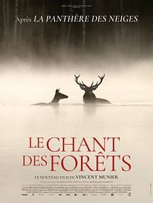 image de Le Chant des forêts Bande-annonce VF