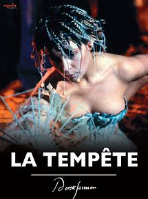 Affiche de La Tempête, film à voir en streaming sur Pygargue