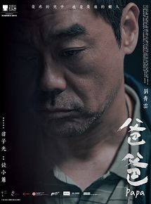 Affiche de Papa, film à voir en streaming sur Pygargue