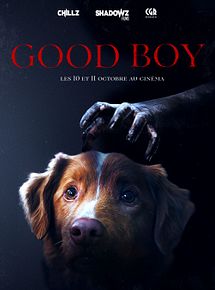 Affiche de Good Boy, film à voir en streaming sur Pygargue
