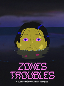 Affiche de Zones Troubles, film à voir en streaming sur Pygargue