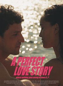 Affiche de Une histoire d'amour parfaite où tout va bien ou... ?, film à voir en streaming sur Pygargue