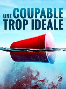 Affiche de Une coupable trop idéale, film à voir en streaming sur Pygargue