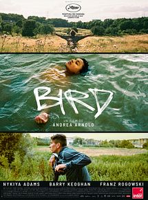 Affiche de Bird, film à voir en streaming sur Pygargue