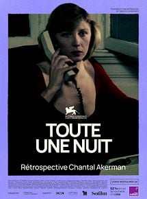 Affiche de Toute une nuit, film à voir en streaming sur Pygargue