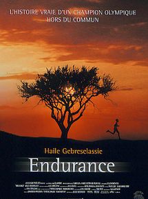 Affiche de Endurance, film à voir en streaming sur Pygargue
