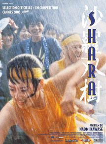 Affiche de Shara, film à voir en streaming sur Pygargue