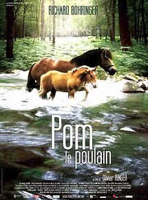 Affiche de Pom le poulain, film à voir en streaming sur Pygargue