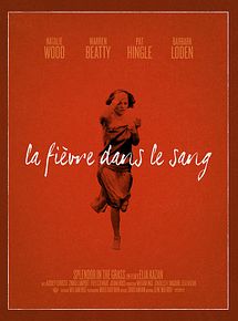 Affiche de La Fièvre dans le sang, film à voir en streaming sur Pygargue
