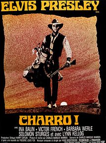 Affiche de Charro!, film à voir en streaming sur Pygargue