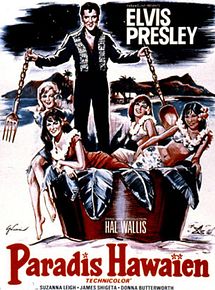 Affiche de Paradis hawaiien, film à voir en streaming sur Pygargue