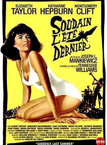 Affiche de Soudain l'été dernier, film à voir en streaming sur Pygargue