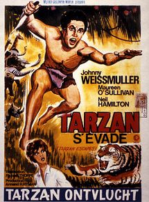 Affiche de Tarzan s'évade, film à voir en streaming sur Pygargue