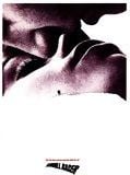 Affiche de La Descente infernale, film à voir en streaming sur Pygargue