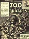 Affiche de Zoo a Budapest, film à voir en streaming sur Pygargue