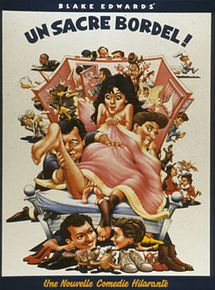 Affiche de Un sacré bordel !, film à voir en streaming sur Pygargue