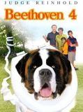 Affiche de Beethoven 4, film à voir en streaming sur Pygargue