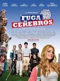 Affiche de Fuite de cerveaux, film à voir en streaming sur Pygargue