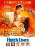 Affiche de Autant en emporte Fletch, film à voir en streaming sur Pygargue