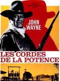 Affiche de Les Cordes de la potence, film à voir en streaming sur Pygargue