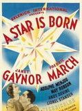 Affiche de Une Étoile est née, film à voir en streaming sur Pygargue