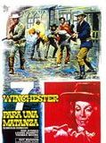 Affiche de 7 Winchester pour un massacre, film à voir en streaming sur Pygargue