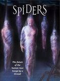 Affiche de Spiders, film à voir en streaming sur Pygargue